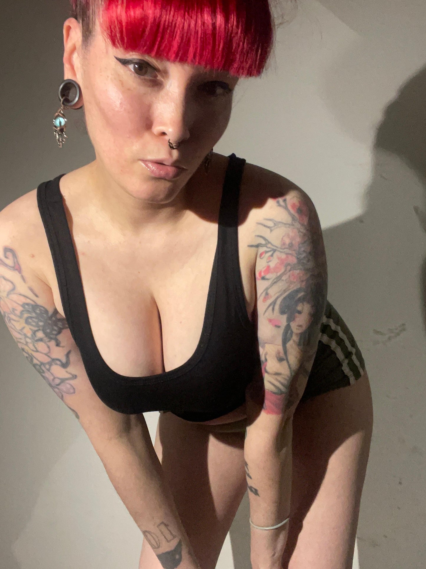 FRRANNKIE frankies delight